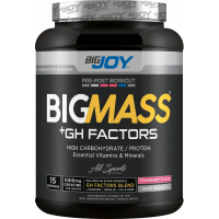 BigJoy Sports Big Mass +GH Factors 1500 Gr - Çilek