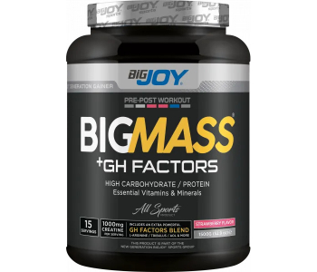 BigJoy Sports Big Mass +GH Factors 1500 Gr - Çilek