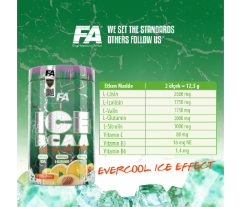 FA Nutrition Ice BCAA 375 Gr