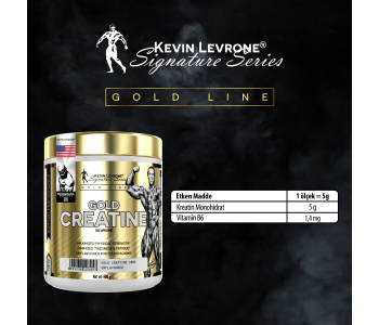 Kevin Levrone Gold Creatine 300 Gr